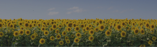 Hakkımızda Banner Görseli